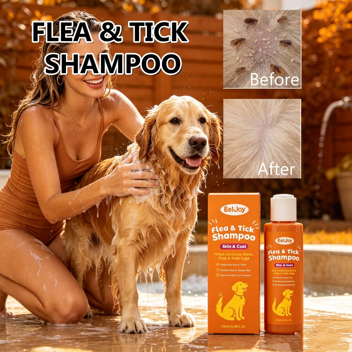 Sa2ebf8a0e0474d0e8a9e19d8f24cb784T